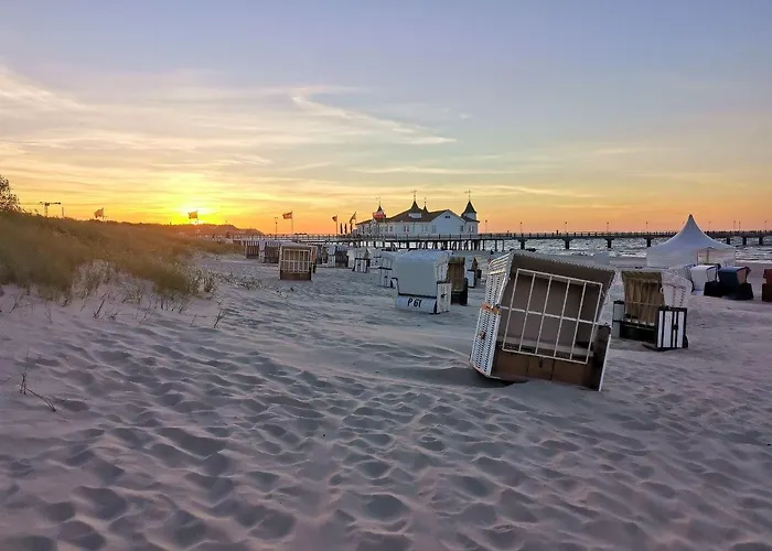 Meereswoge - Goldstern *